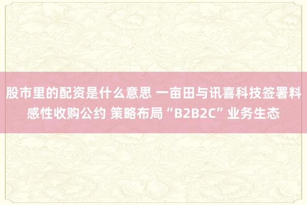 股市里的配资是什么意思 一亩田与讯喜科技签署料感性收购公约 策略布局“B2B2C”业务生态