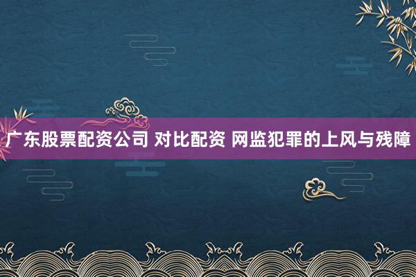 广东股票配资公司 对比配资 网监犯罪的上风与残障